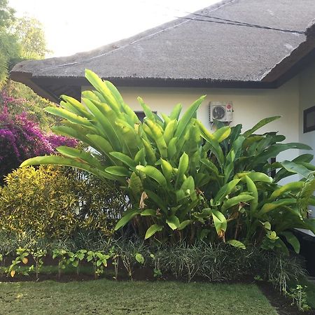 Villa Danison أُماينيار المظهر الخارجي الصورة